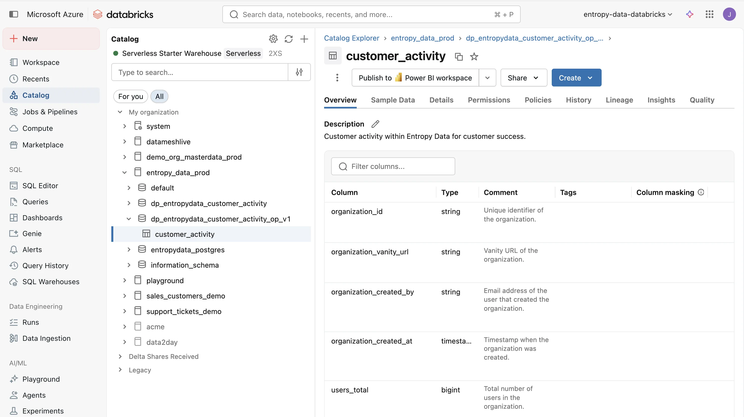 La tabla customer_activity materializada en Databricks, con columnas como organization_id, organization_vanity_url y users_total.